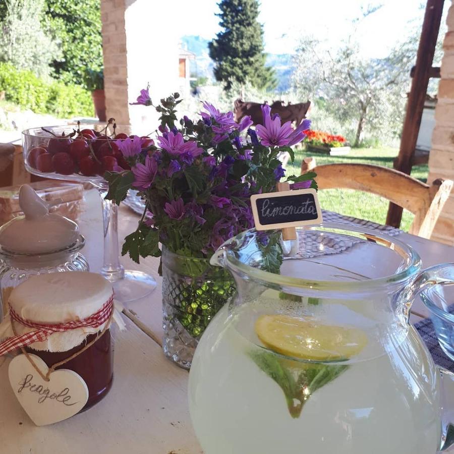 B&B L'Usignolo Ascoli Piceno Eksteriør bilde