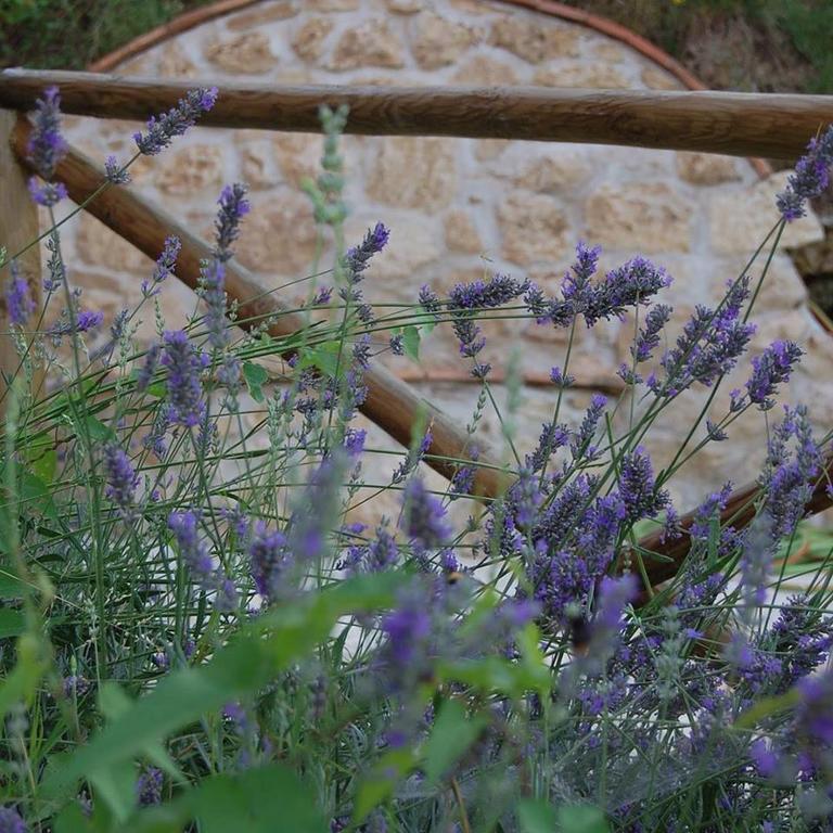 B&B L'Usignolo Ascoli Piceno Eksteriør bilde
