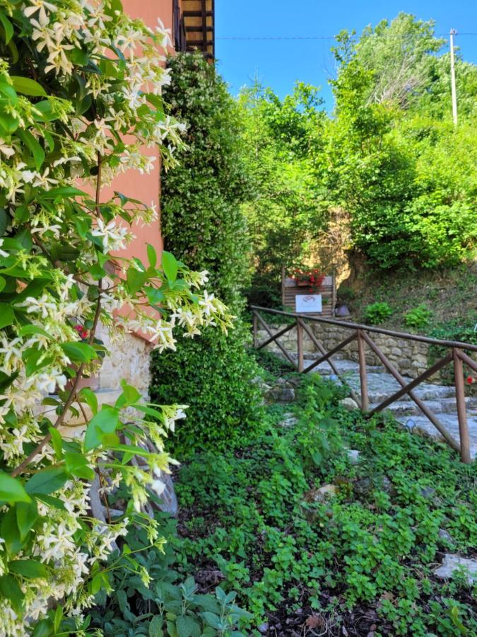 B&B L'Usignolo Ascoli Piceno Eksteriør bilde