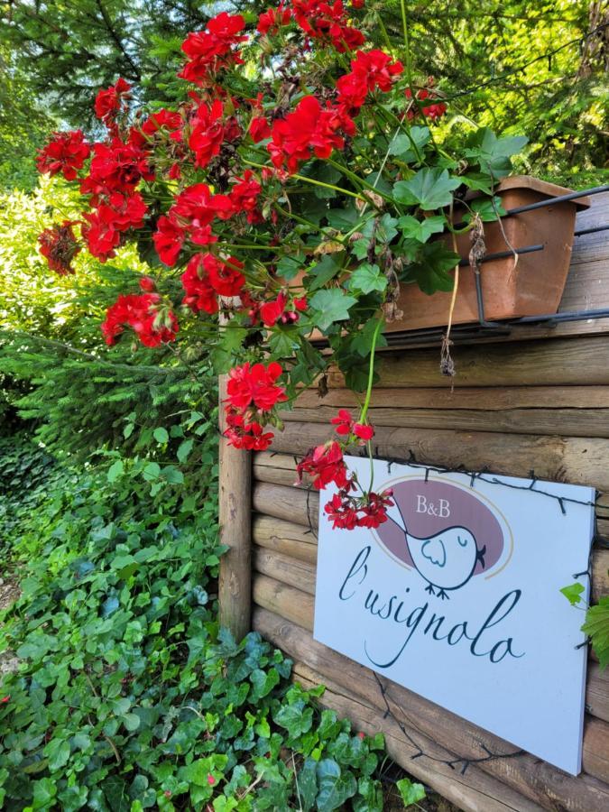 B&B L'Usignolo Ascoli Piceno Eksteriør bilde
